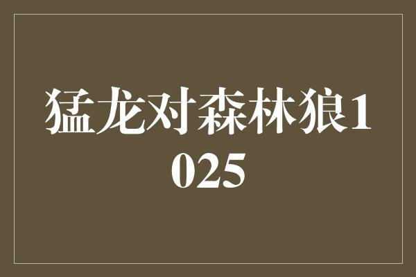 猛龙对森林狼1025