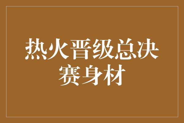 热火晋级总决赛身材