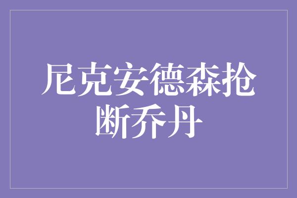 尼克安德森抢断乔丹