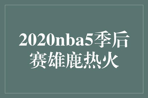 2020nba5季后赛雄鹿热火