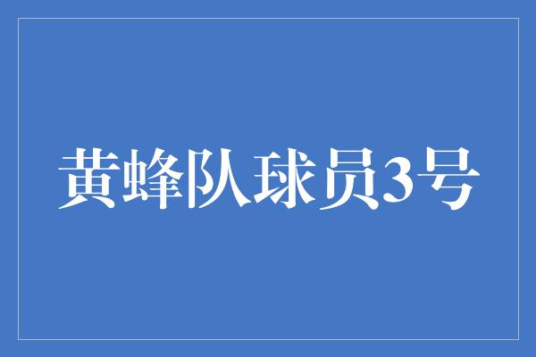 黄蜂队球员3号