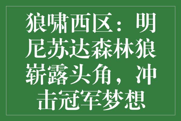 狼啸西区：明尼苏达森林狼崭露头角，冲击冠军梦想