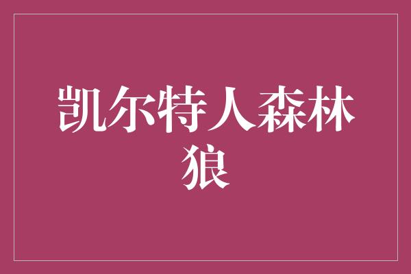 凯尔特人森林狼