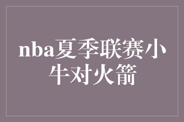 nba夏季联赛小牛对火箭