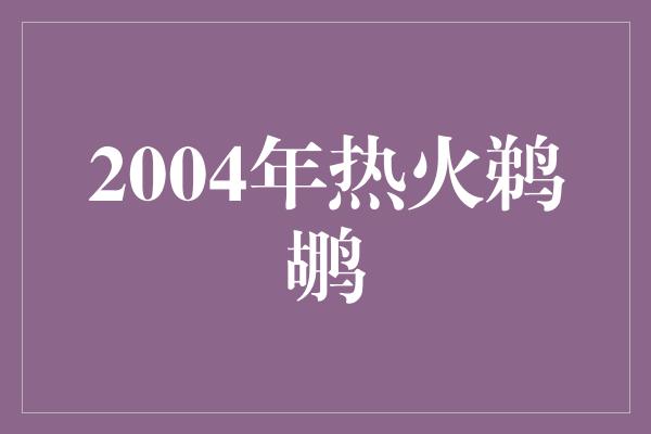 2004年热火鹈鹕