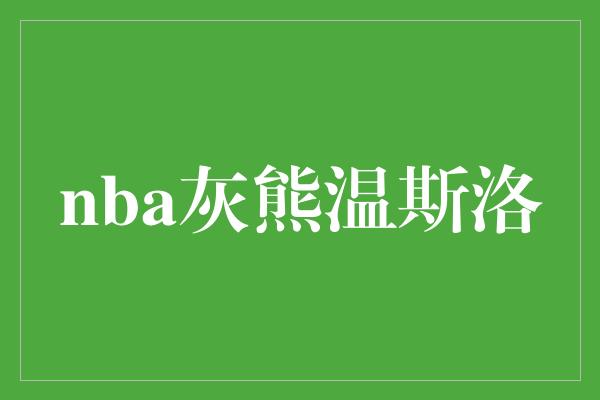 nba灰熊温斯洛