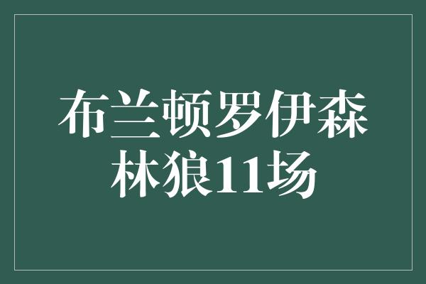 布兰顿罗伊森林狼11场