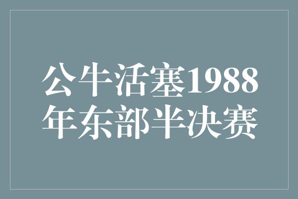 公牛活塞1988年东部半决赛