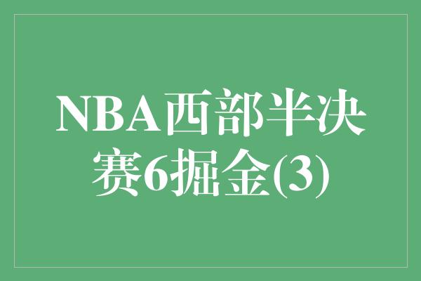 NBA西部半决赛6掘金(3)