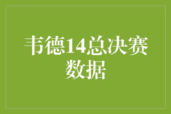 韦德14总决赛数据