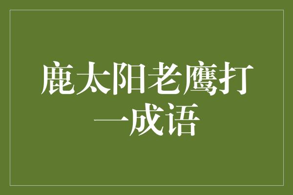 鹿太阳老鹰打一成语