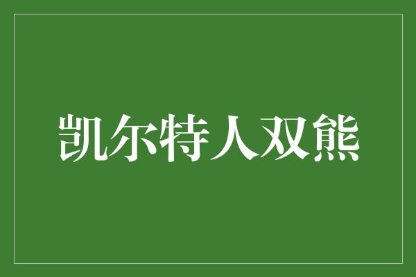 凯尔特人双熊