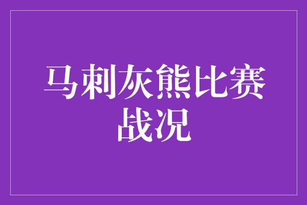 马刺灰熊比赛战况