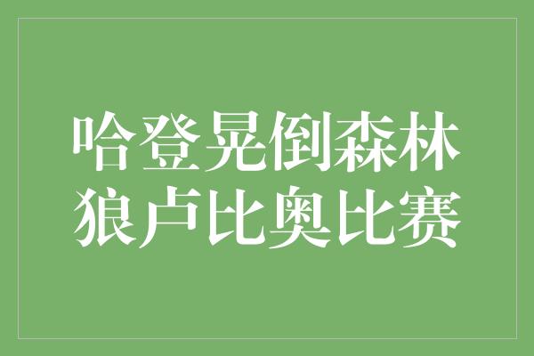 哈登晃倒森林狼卢比奥比赛