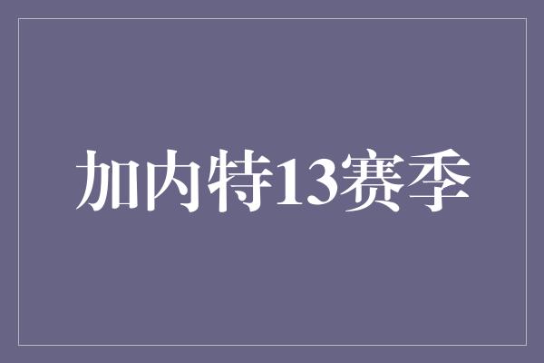 加内特13赛季