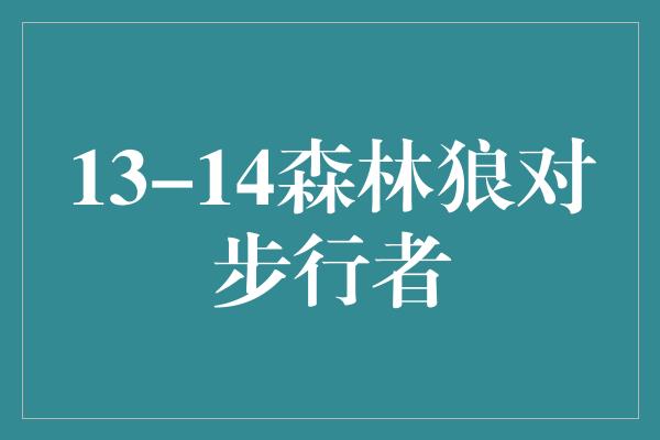 13-14森林狼对步行者