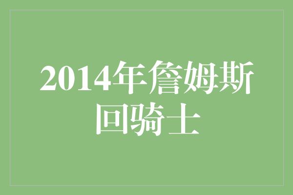 2014年詹姆斯回骑士