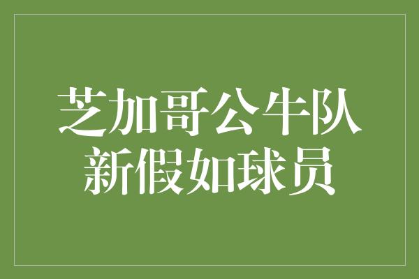 芝加哥公牛队新假如球员