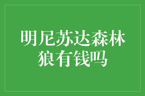 明尼苏达森林狼有钱吗