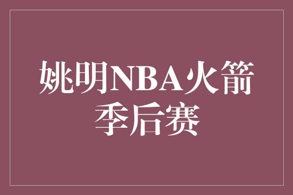 姚明NBA火箭季后赛