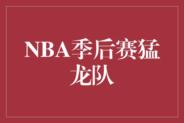 NBA季后赛猛龙队