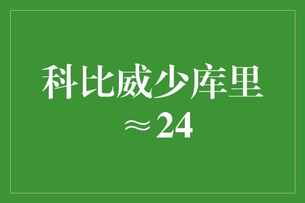 科比威少库里≈24