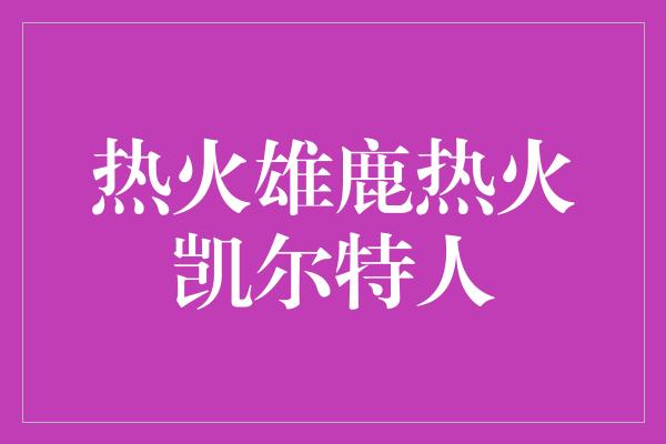 热火雄鹿热火凯尔特人