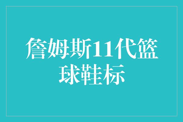 詹姆斯11代篮球鞋标