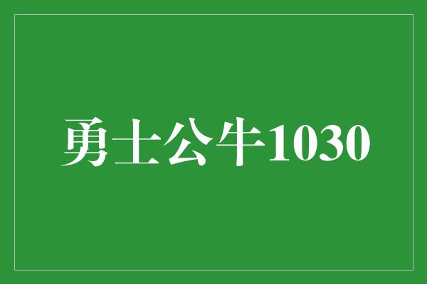 勇士公牛1030