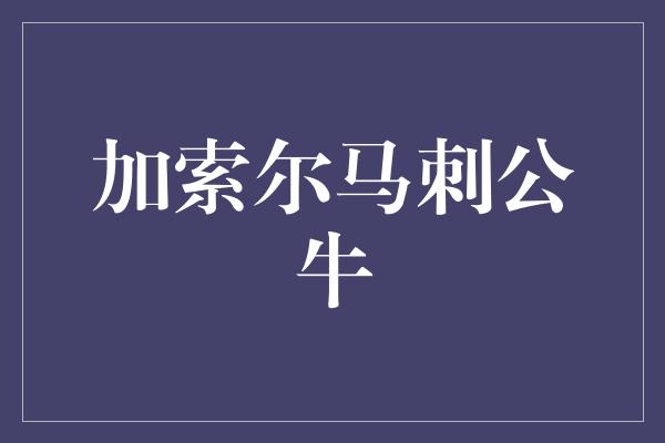 加索尔马刺公牛