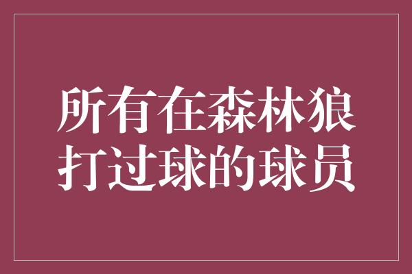 所有在森林狼打过球的球员