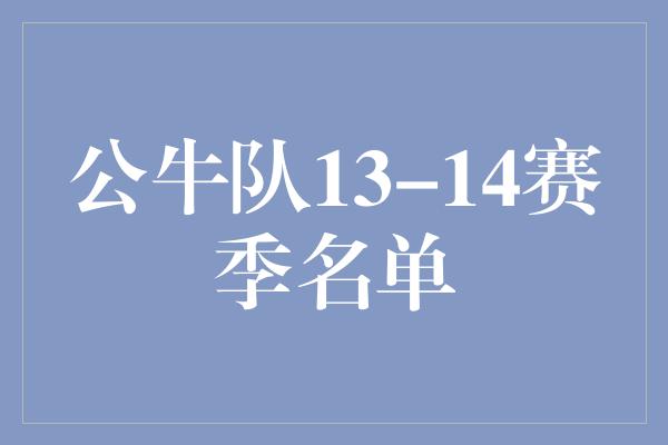 公牛队13-14赛季名单