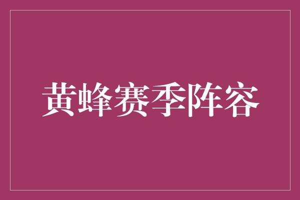 黄蜂赛季阵容