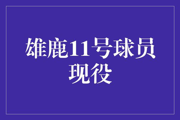 雄鹿11号球员现役