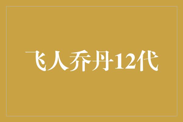 飞人乔丹12代