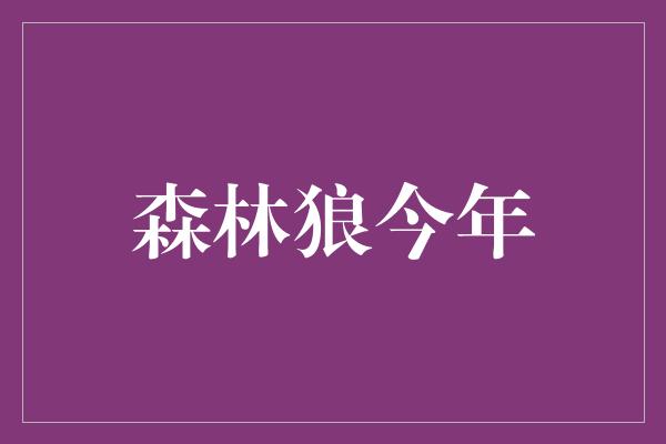 森林狼今年