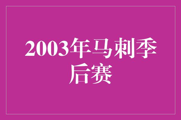 2003年马刺季后赛