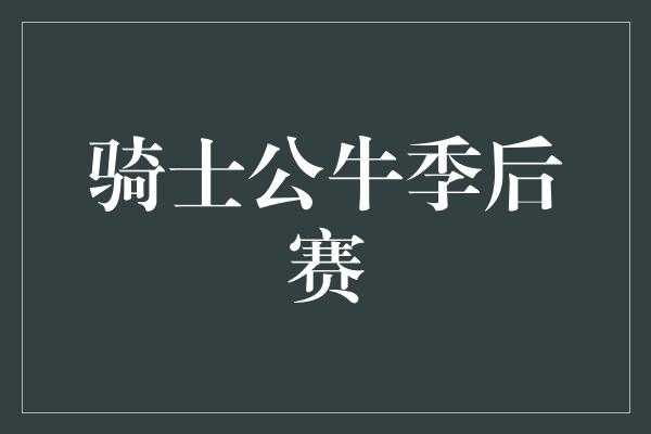 骑士公牛季后赛