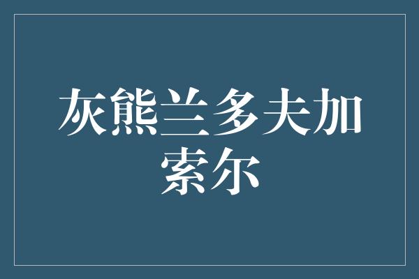 灰熊兰多夫加索尔