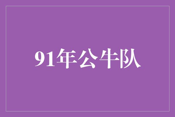 91年公牛队