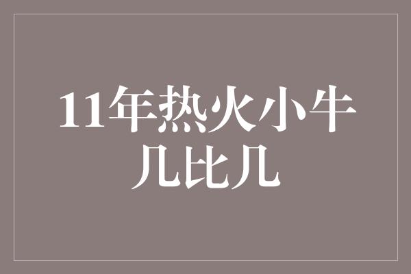 11年热火小牛几比几