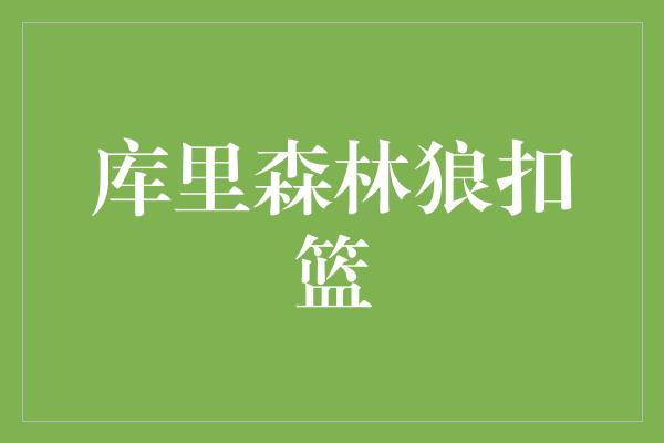 库里森林狼扣篮