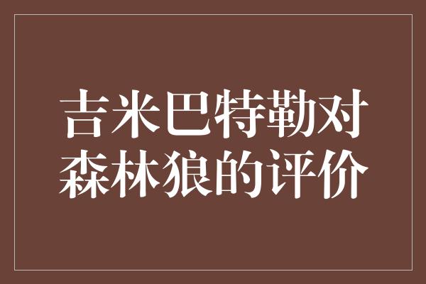 吉米巴特勒对森林狼的评价