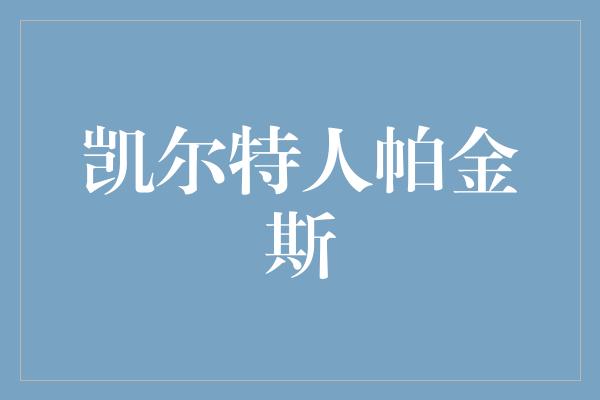 凯尔特人帕金斯