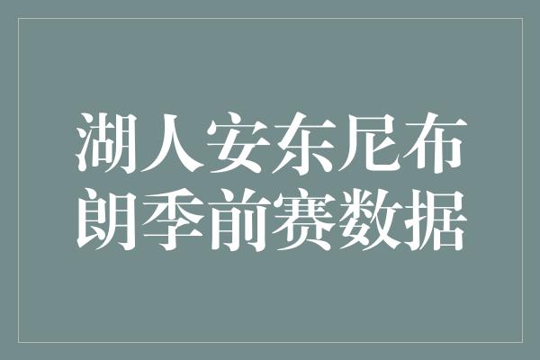 湖人安东尼布朗季前赛数据