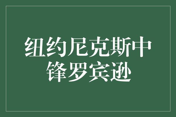 纽约尼克斯中锋罗宾逊