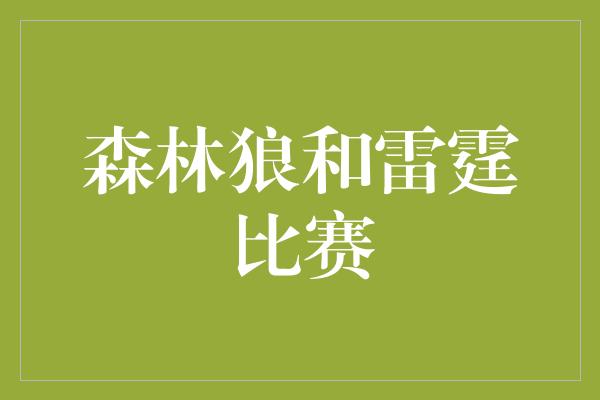 森林狼和雷霆比赛