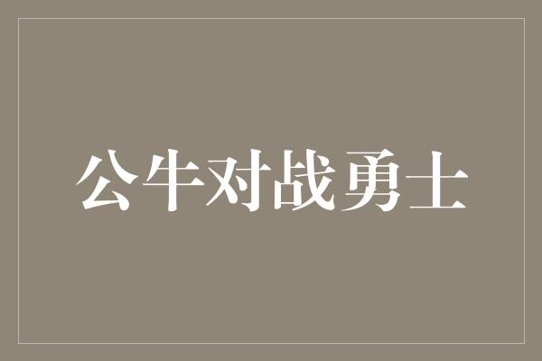 公牛对战勇士