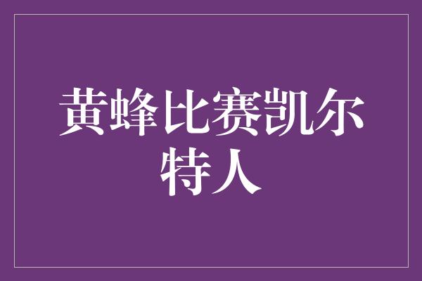 黄蜂比赛凯尔特人