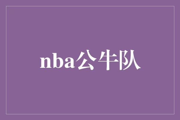 nba公牛队